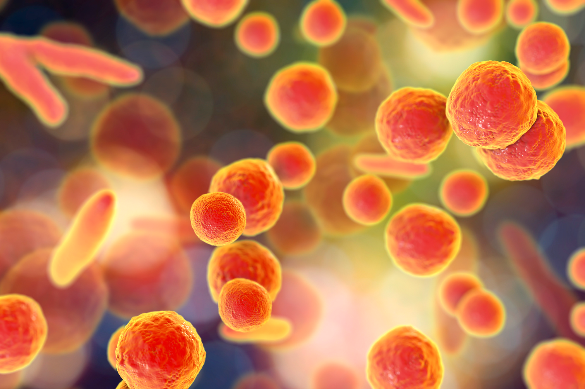 Nova EP 2.6.7 regulativa: Što se mijenja u detekciji mikoplazme i kako ostati usklađen? - Sartorius Croatia