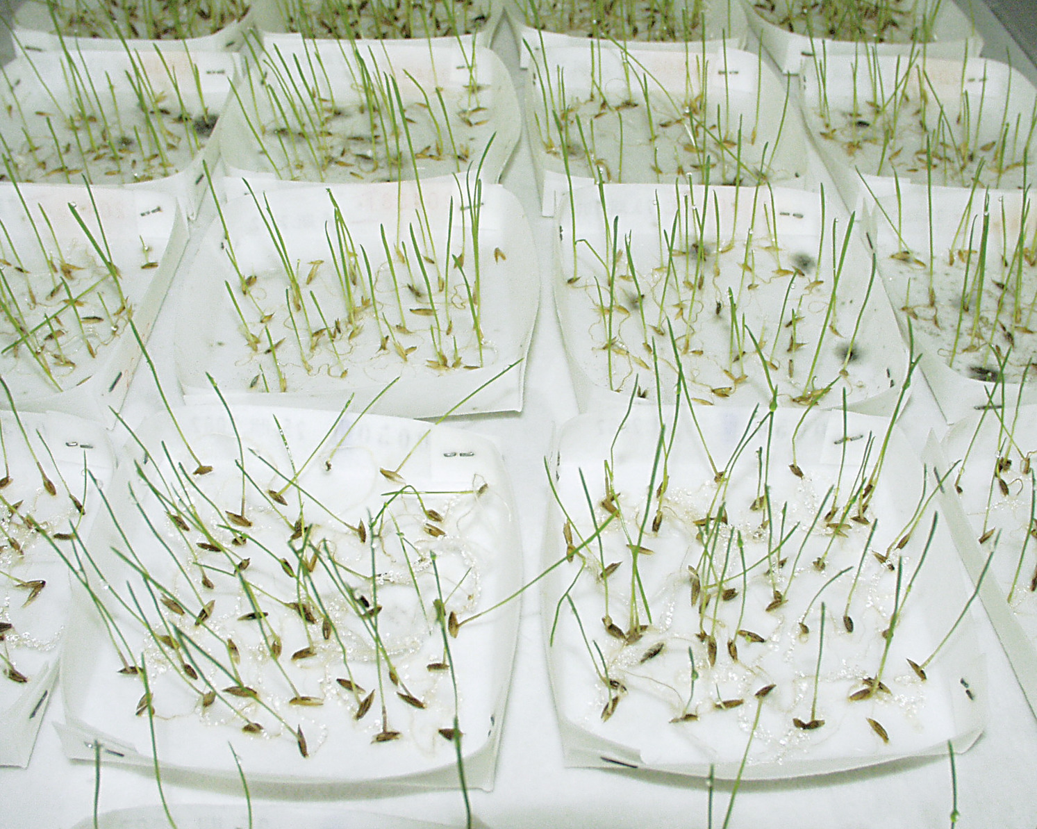 Filter Papers - Sartorius Croatia