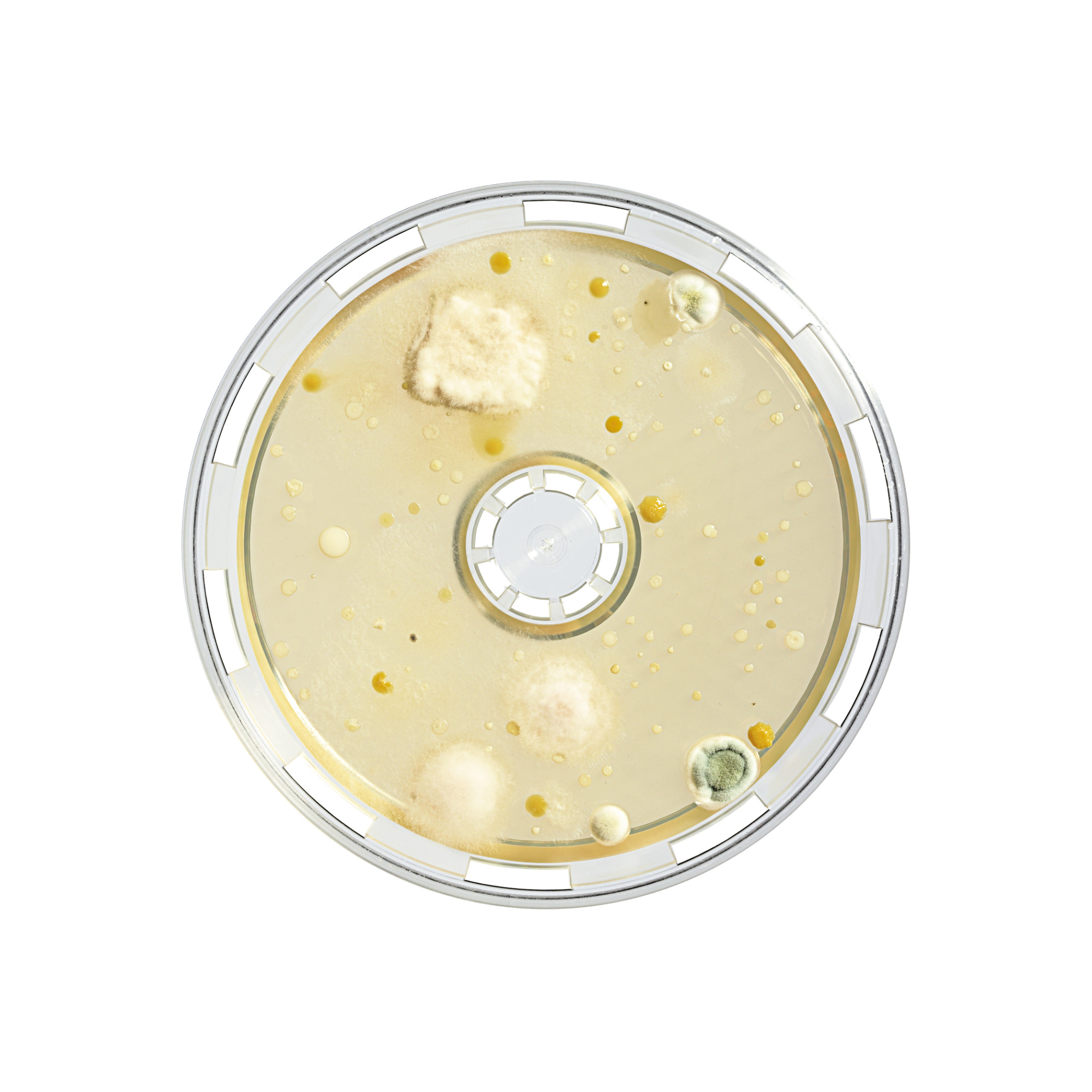 BACTair™ mikrobiološke podloge za ispitivanje kvalitete zraka - Sartorius Croatia