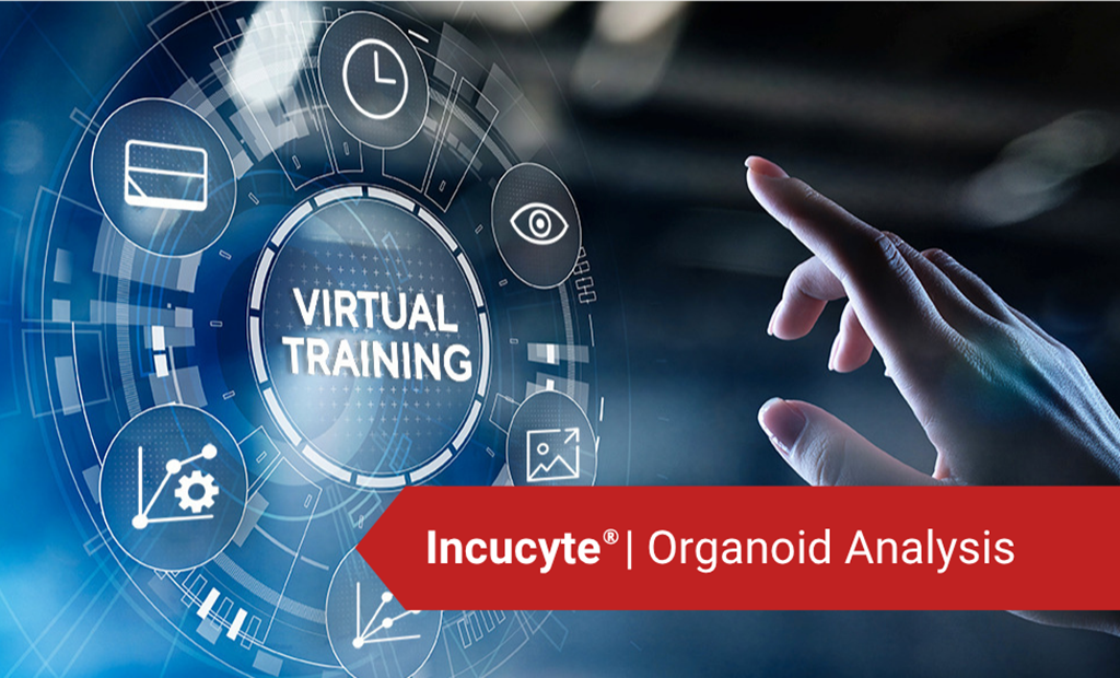 Incucyte® Virtual Training: Applications - Cell Health, 3D Biology and More - Sartorius Croatia