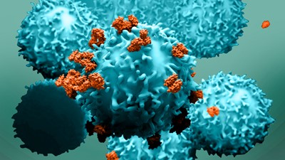 iQue® Virtualni trening: Optimizacija pripreme uzoraka za složene protokole i vrste stanica - Sartorius Croatia